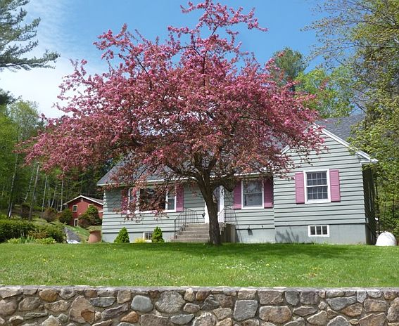 2nd image of 501 Sweden St