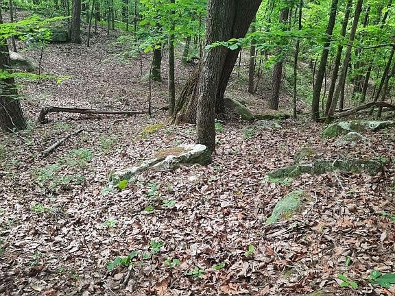 5th image of Wooten Rd
