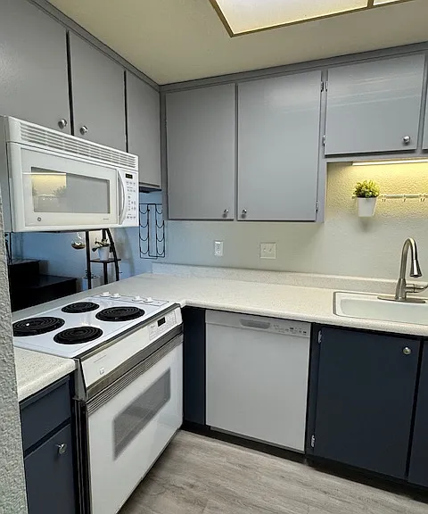 3641 Clayton Rd #36 — Photo 4