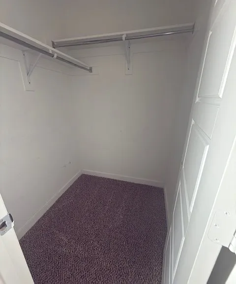 1825 Spoonbill Dr — Photo 21