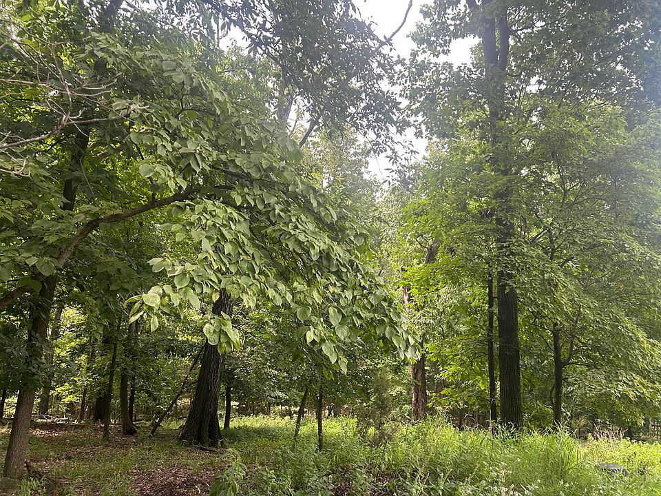 1st image of Pheasant Pl