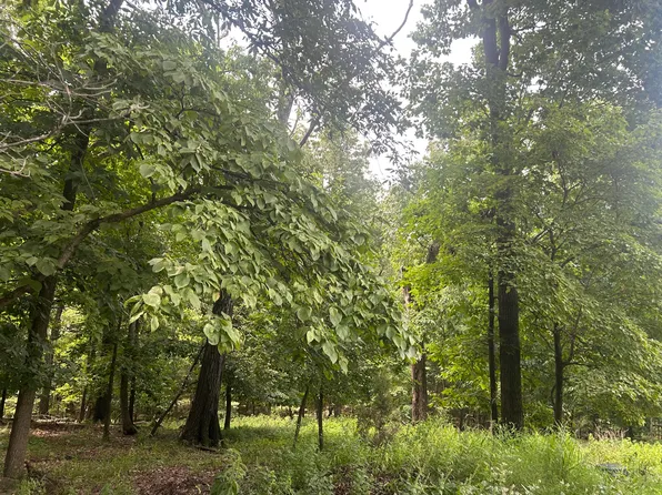 Pheasant Pl, Afton, OK 74331