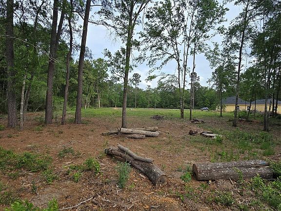 5th image of 3805 Piney Point Rd