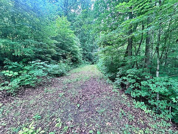 5th image of 5 Antler Ridge Ln