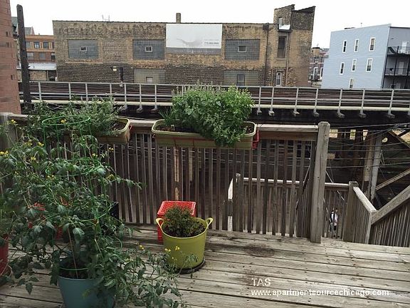 5th image of 3327 N Sheffield Ave APT 3R