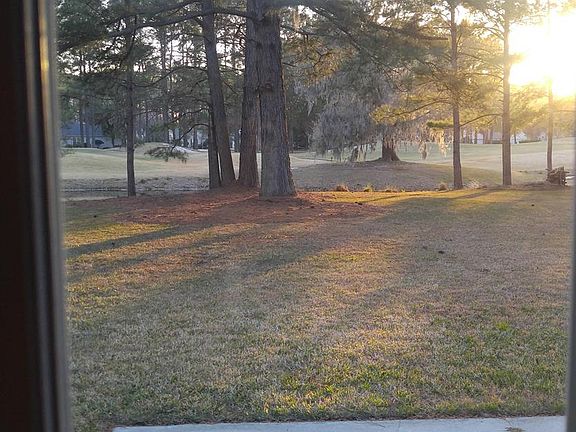 Backyard view from inside