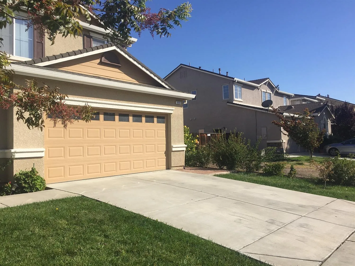 880 Saffron Dr photo 1