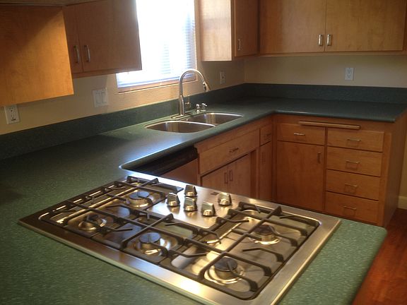 New SS steel gas cooktop