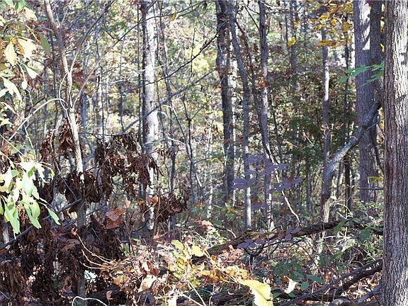4th image of Newburgh Ln