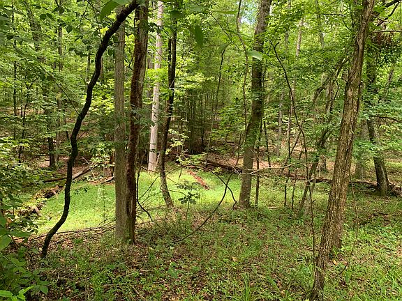 5th image of Eagle Point Dr