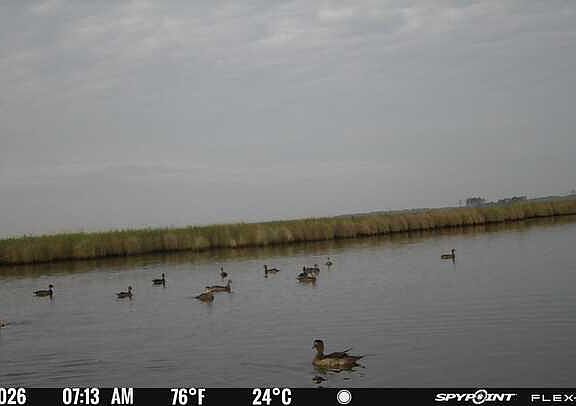 3rd image of 3241 Robbins Rd