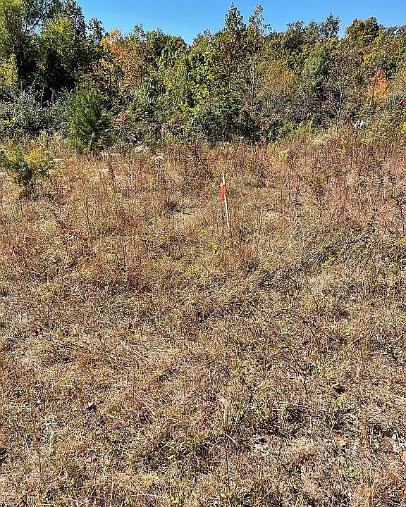 2nd image of Pilot Mountain Rd