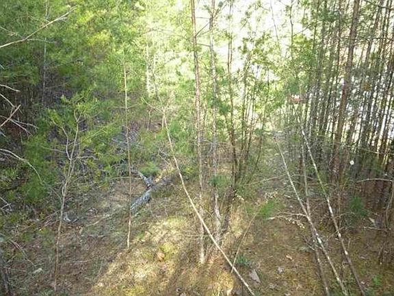 4th image of Township Road 5 Mossy Cove Way