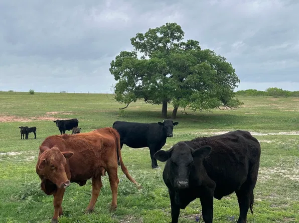 TBD (TR 2) W GATES VALLEY RD, Poteet, TX 78065
