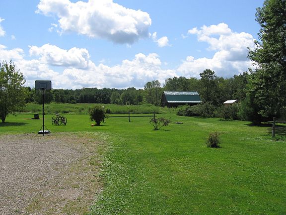 View of the back yard