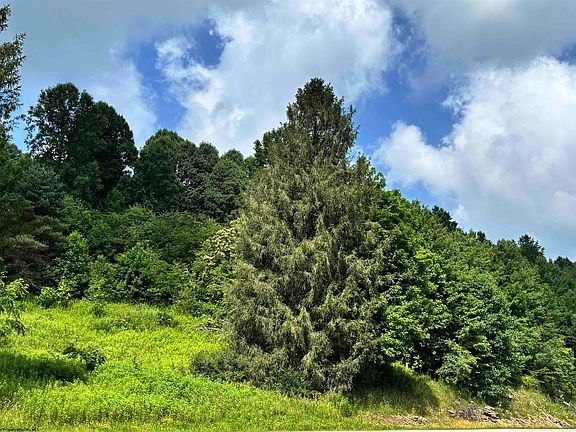 2nd image of Barbour County Hwy