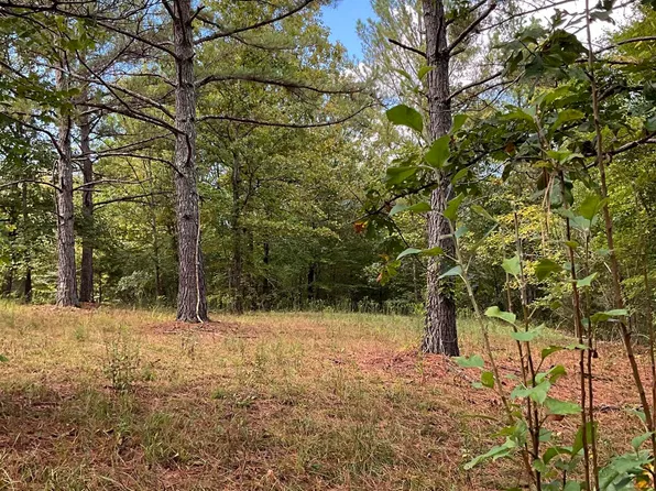 10805 Mount Hester Rd, Cherokee, AL 35616