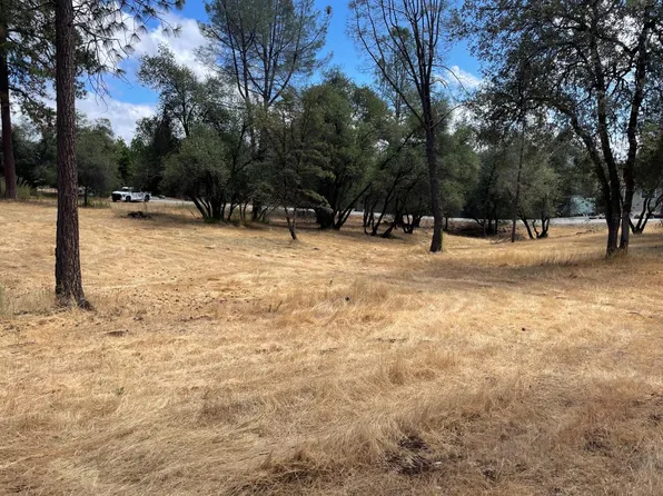349 Cuckoo Ct, Applegate, CA 95703