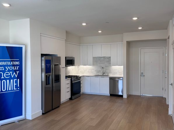 3698 Vision Cmn #509