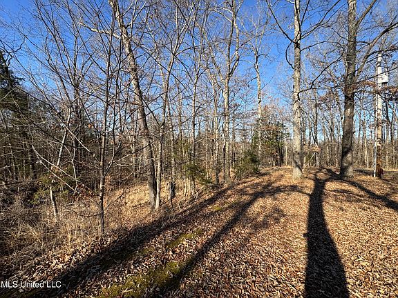 5th image of 778 Steele Rd