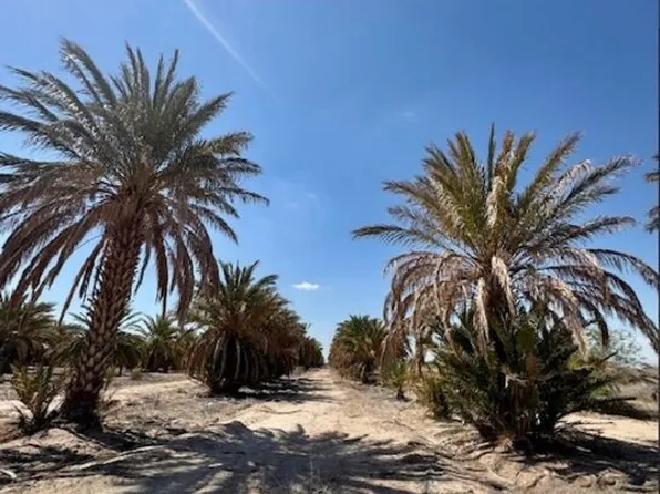 0 Noffsinger Rd, Niland, CA 92257