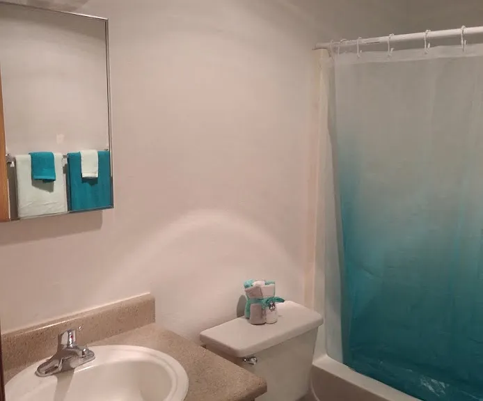 Teal Pointe Apartments — Photo 10