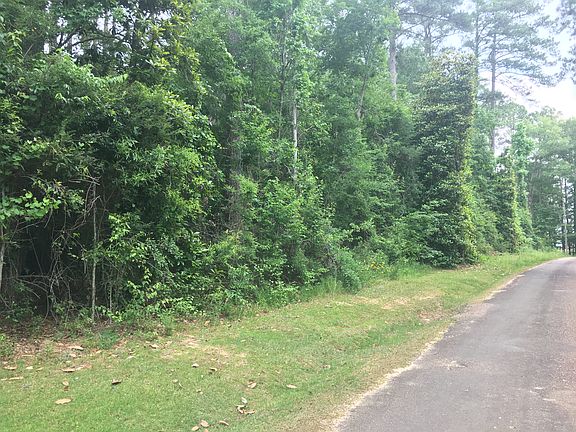 3rd image of Highway 51 North Lake Dixie Spgs