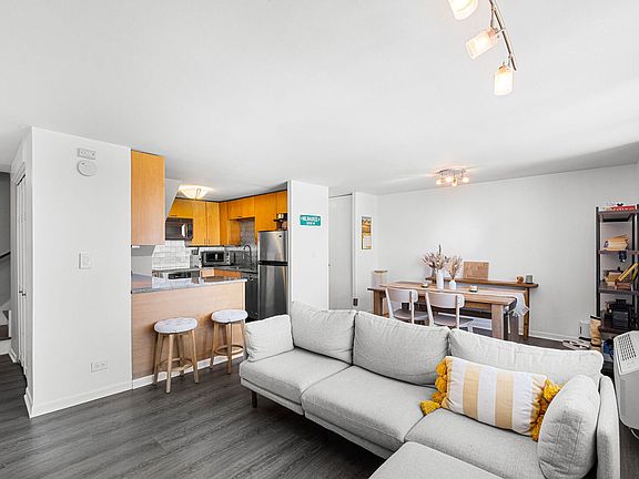 3rd image of 1221 N Dearborn St APT 1010S