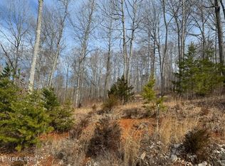 100 Pinnacle Pointe Way, Sharps Chapel, TN 37866