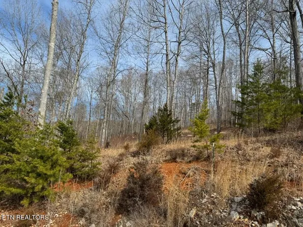 100 Pinnacle Pointe Way, Sharps Chapel, TN 37866