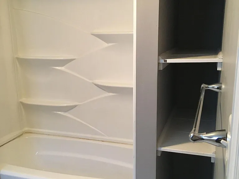 Master bath and shelving