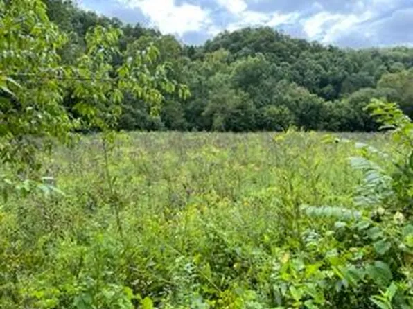 0 George Griffith Rd, Vancleve, KY 41385