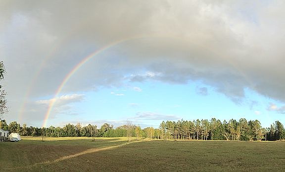 Panorama Front view