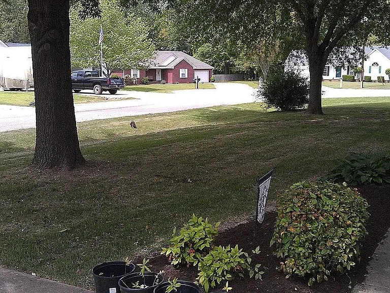 142 Clement Dr — Photo 2