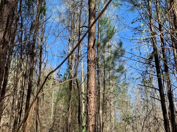 0 State Highway 124, Grayson, LA 71435