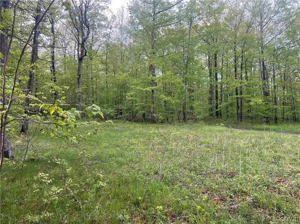 0 England Hill Rd #18, Swain, NY 14884