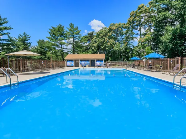 The Pines of Roanoke