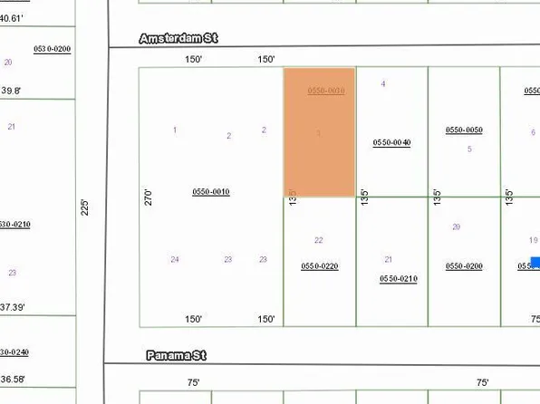 00 AMSTERDAM Street, Interlachen, FL 32148