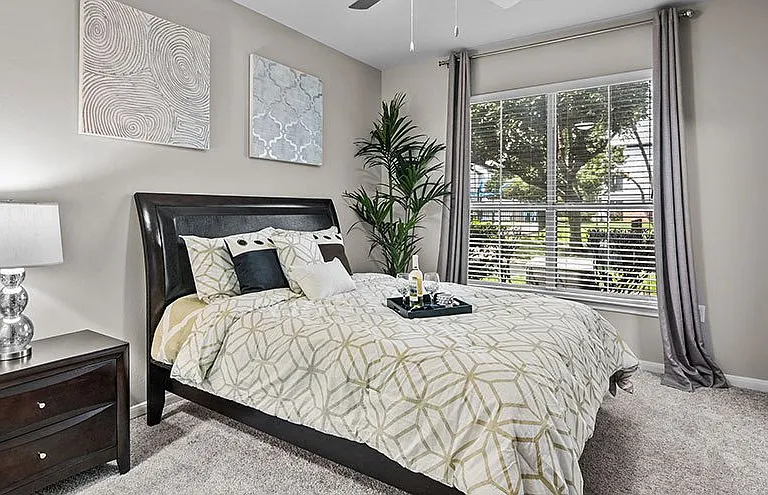 The Palms at Clear Lake Apartments — Photo 5
