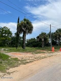 4th image of 339 Christmas Tree Ln