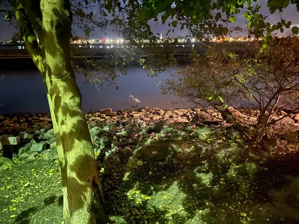 1 Greene Street image 37 of 40