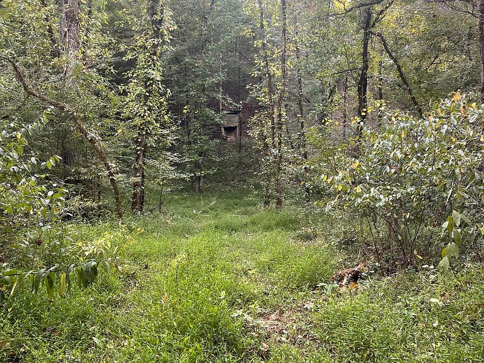 118th image of 450 County Road 28