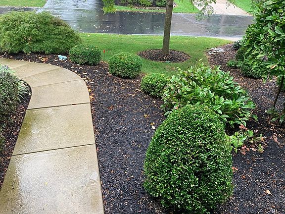 3rd image of 4825 Beechwood Ln #29
