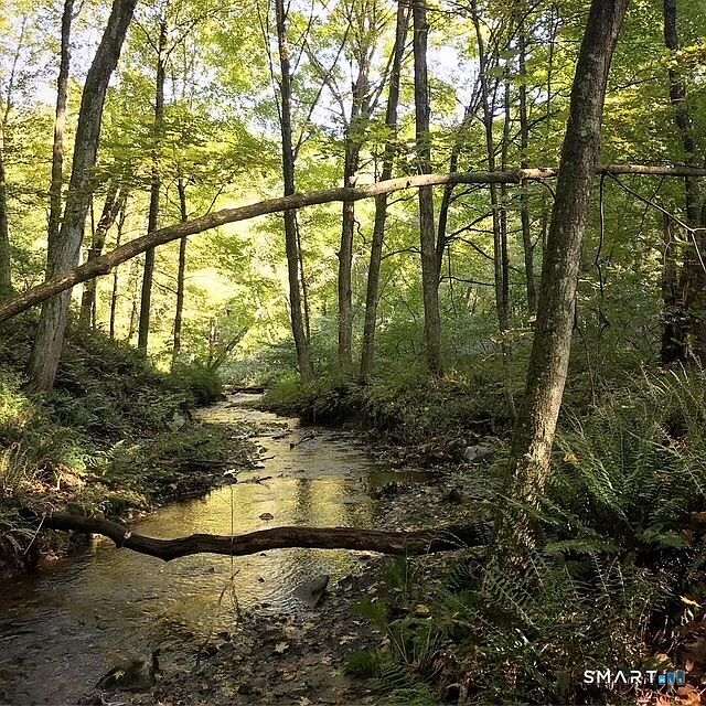 1st image of 00 Beecher Road