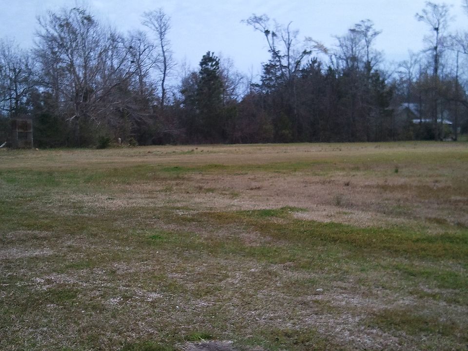 1st image of 10065 Perniciaro Way