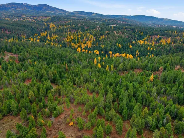 48094.9045 0 Unknown Rd, Chattaroy, WA 99003