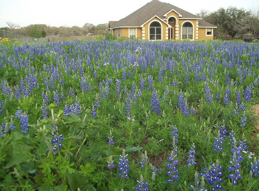 25650 Campbellton Rd, San Antonio, TX 78264 Zillow