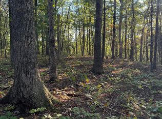 Lots 9 & 10 Ivy Branch Rd, Spring City, TN 37381