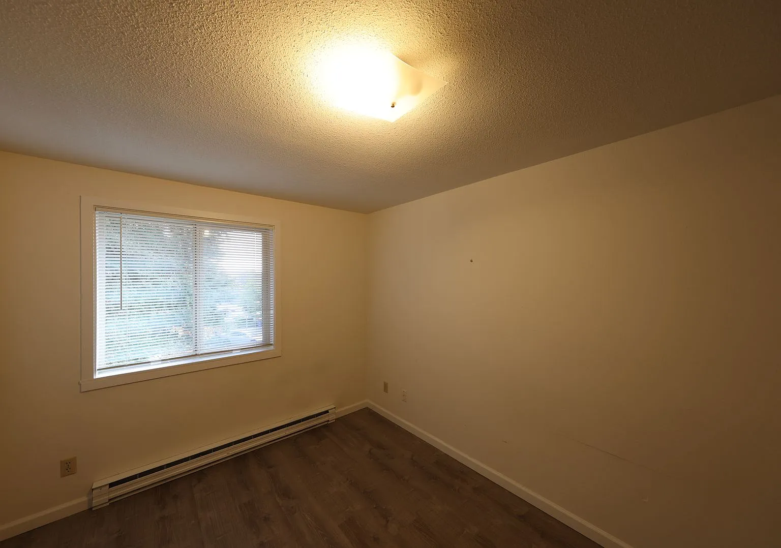 2 Bed 1 Bath - Excellent Condition - NAS Whidbey — Photo 4
