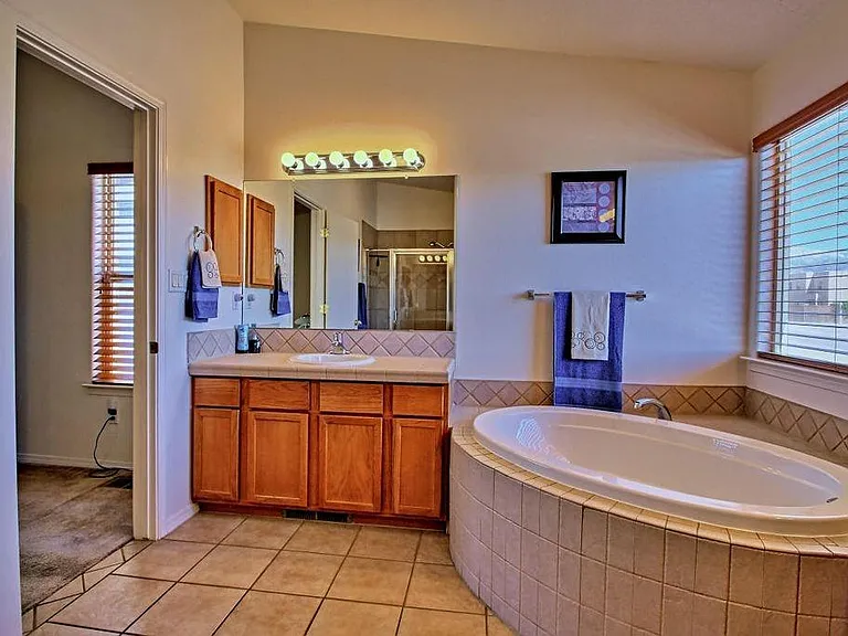 Master bathroom
